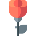 rosa icon