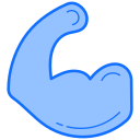 carrocero icon