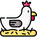 pollo icon