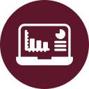 data analytics icon