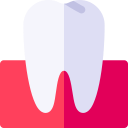 molar icon