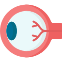 globo ocular icon