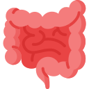 intestino icon