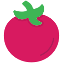 tomate icon