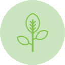 Leaf icon