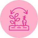 Rotation icon