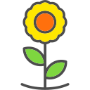 girasol icon