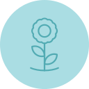 girasol icon