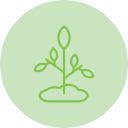 Plant icon