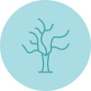 Árbol seco icon