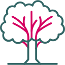 Árbol icon