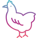 pollo icon