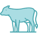 vaca icon