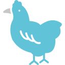 pollo icon