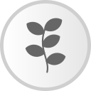 planta icon