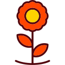 girasol icon