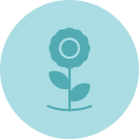 girasol icon