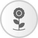 girasol icon