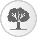 Árbol icon