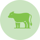 vaca icon