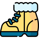 zapatos icon