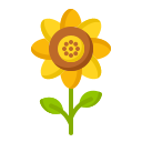 girasol