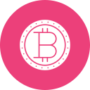 bitcoin icon