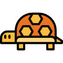 tortuga icon