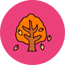 Árbol de otoño icon