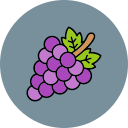 uvas icon