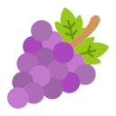 uvas icon