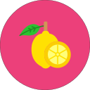 limón icon