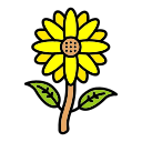 girasol icon