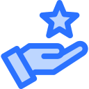 revisión icon