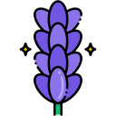 lavanda icon