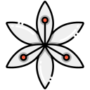 lirio icon