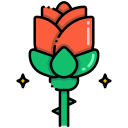 rosa icon