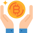 bitcoin icon