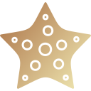 estrella de mar icon