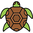 tortuga icon