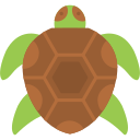 tortuga