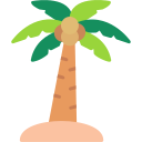 palmera icon