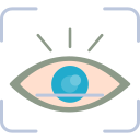 retina icon