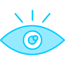 ojo icon