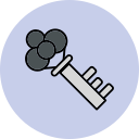 llave icon