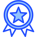 insignia icon