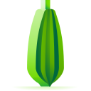 calabaza icon