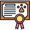 certificado icon