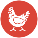 gallina icon