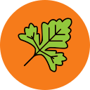 cilantro icon